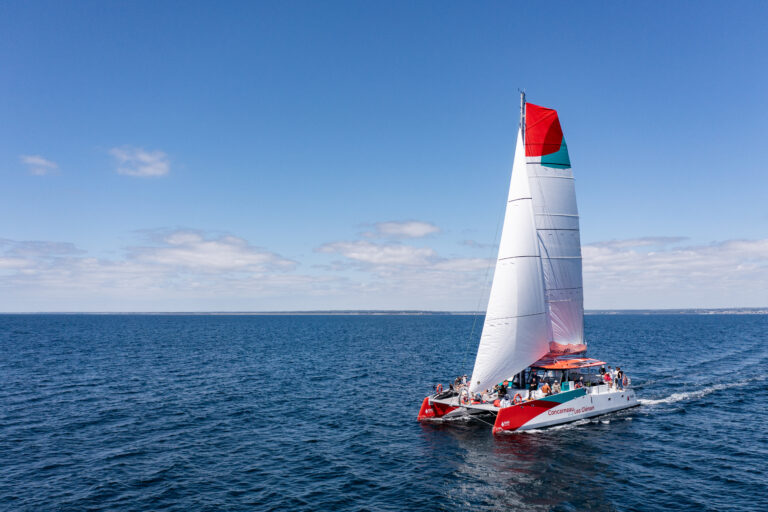 Pourquoi choisir le transport à la voile pour aller aux Glénan ?